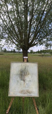 Kunst aan het Klompenpad 2026, Wageningen — foto 1